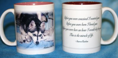 Miracle of Life Mugs different colors