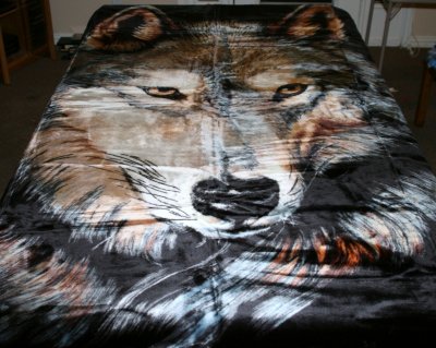 Indigo Wolf Queen SZ Korean Mink Blanket- 1 Available for Raffle