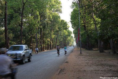 The road leading to Angkor Wat
