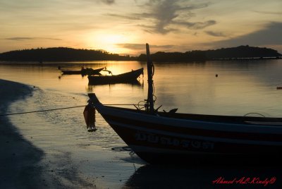DSC_4351.jpg