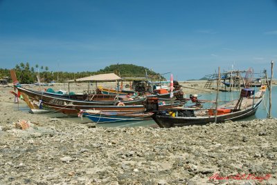 DSC_4389.jpg