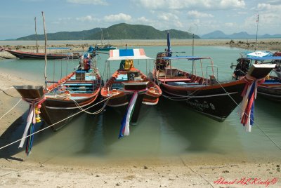 DSC_4409.jpg