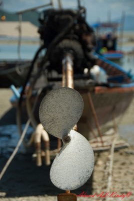 DSC_4412.jpg