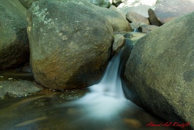 DSC_4436.jpg