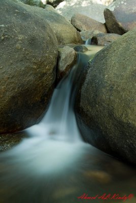 DSC_4438.jpg