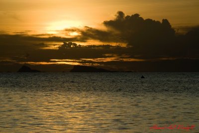 DSC_4453.jpg