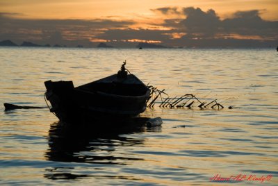DSC_4468.jpg