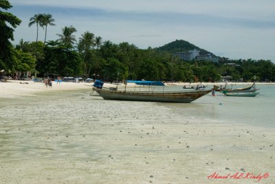 DSC_4498.jpg