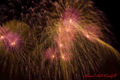 DSC_0546.jpg