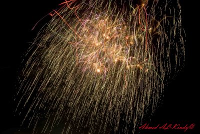 DSC_0636.jpg