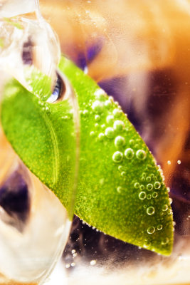 Lime and Soda