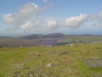 looking West.JPG