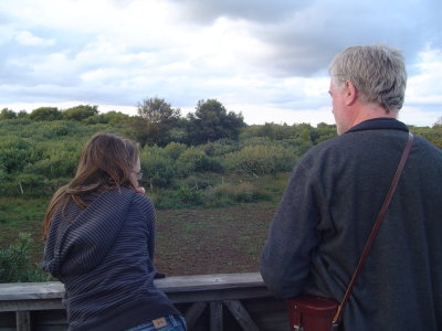 waiting to see hen harriers.JPG