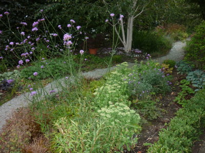 garden 08 09 10.JPG