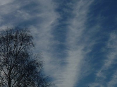 skies
