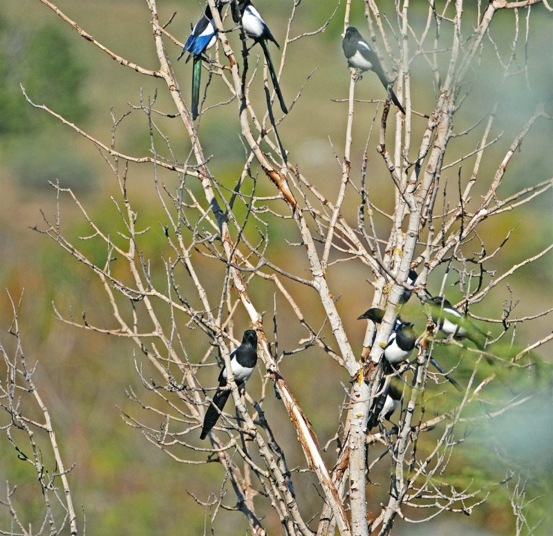 DSC_5725.JPG