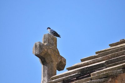 DSC_5032.JPG