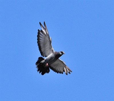 DSC_5057.JPG