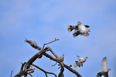 DSC_5162.JPG
