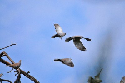 DSC_5163.JPG