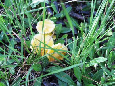IMG_0090.JPG