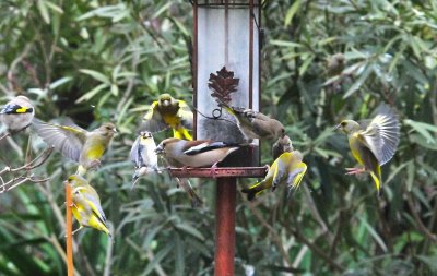 DSC_1055c.jpg