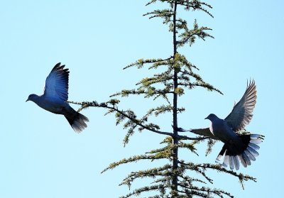 DSC_2537c.jpg
