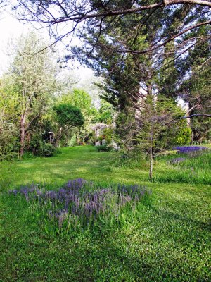 parc au printemps 6.JPG