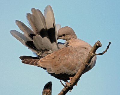 DSC_3017.JPG