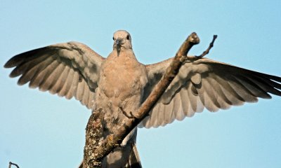DSC_3022.JPG