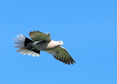 DSC_3280c.jpg