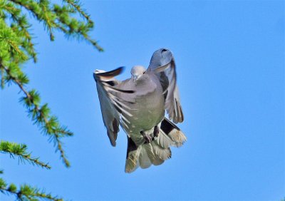 DSC_5503.JPG