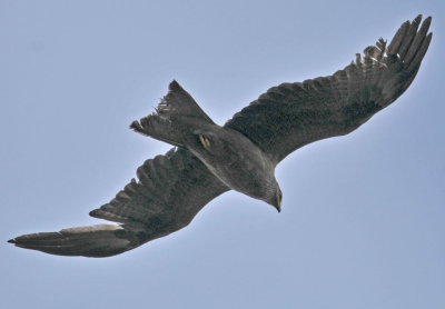 g1/04/804304/3/125472864.rsJVTUfo.jpg