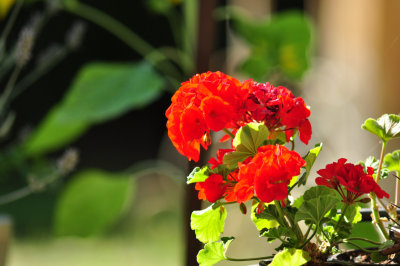 g1/04/804304/3/127055633.kwDSqDsj.jpg