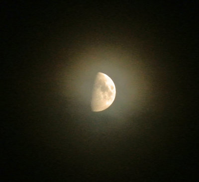  moon