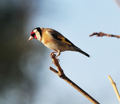 DSC_1800.JPG