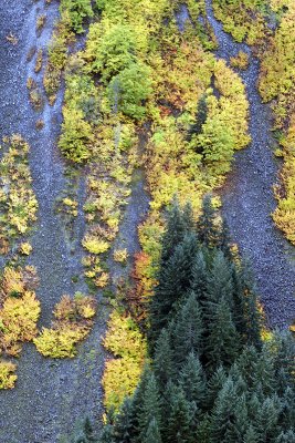 _MG_3244_PunchMtRainier_Oct2008.jpg