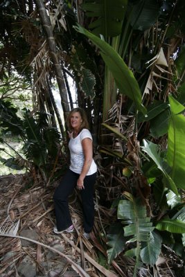 Iao Valley