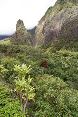 Iao Needle