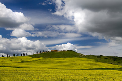 Tuscany, along S438 near Asciano