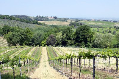 Tuscany near San Gimignano