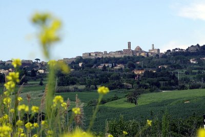 Looking back on Volterra