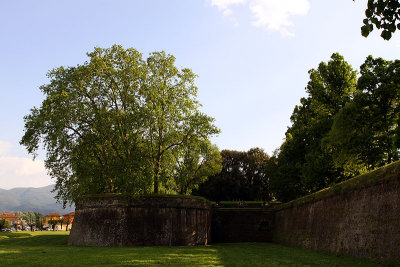 The ramparts of Lucca