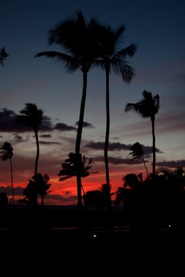 IMG_3446_web.jpg