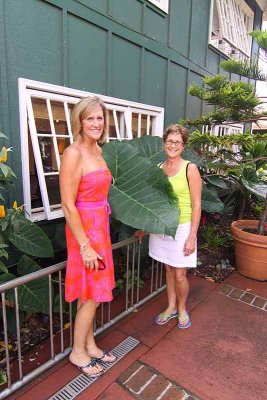 IMG_3485_web.jpg