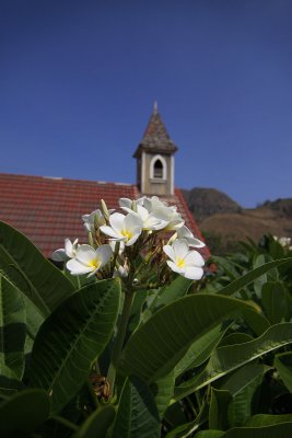 IMG_3561_web.jpg