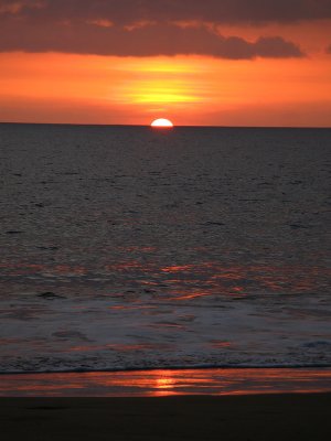 IMG_5438_web.jpg