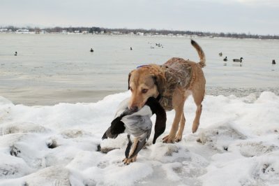 DSC_0363.jpg