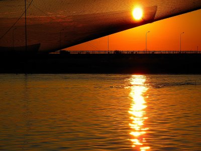 Liquid gold and fishing nets