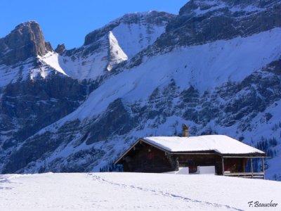 voyage_suisse